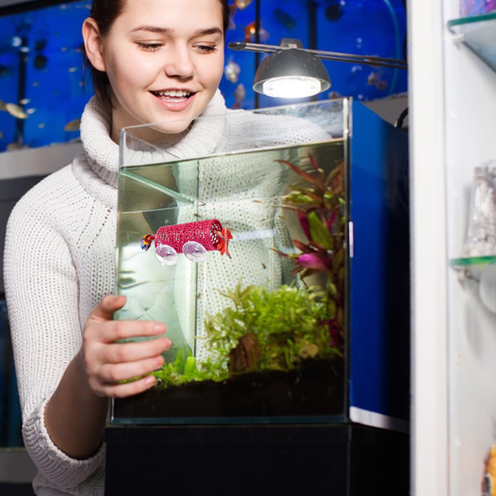 Fish Toys For Aquarium - 베타 생태 환경 휴식처 장식품 물고기