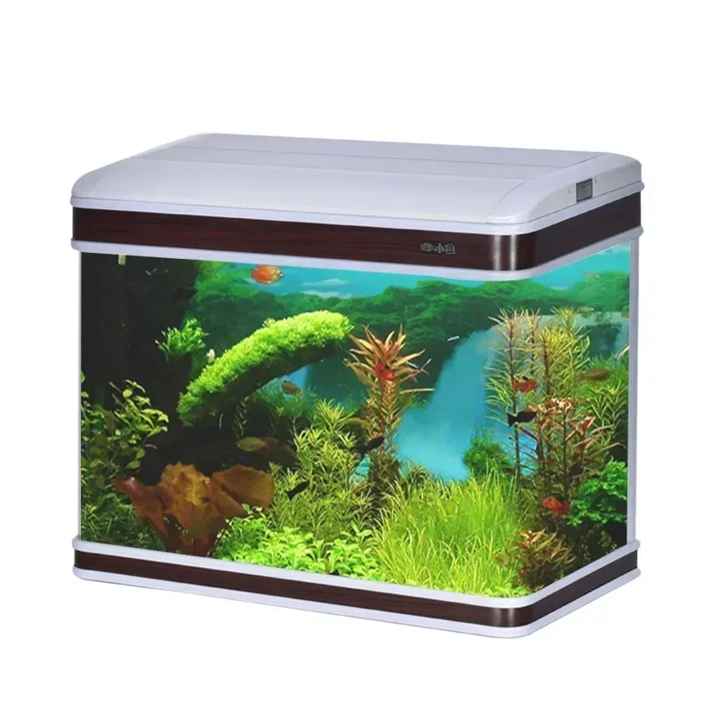 Aquarium Fish Supplier - 전문 수족관 공급업체 수족관 탱크 조명