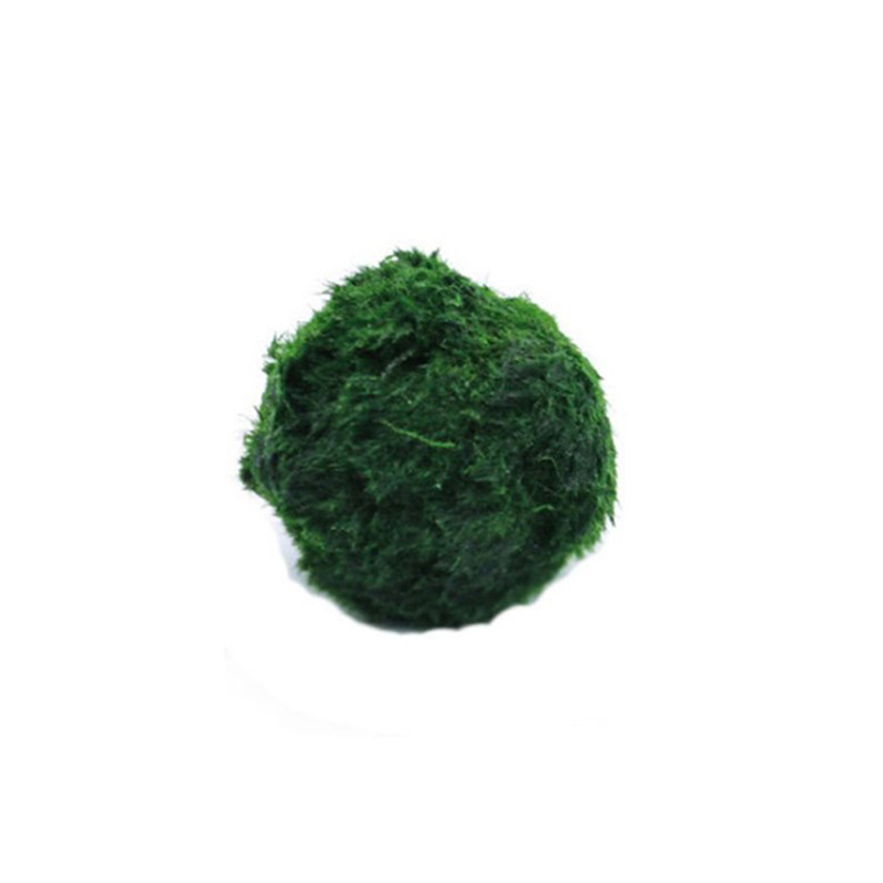 Aquarium Fish Green - 마리모 이끼 공 생물 수족관 식물