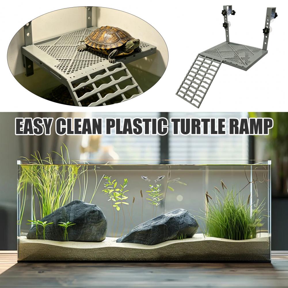 Aquarium Fish Gallery - 수족관 장식용 고형형 거치형 거북이 일광욕