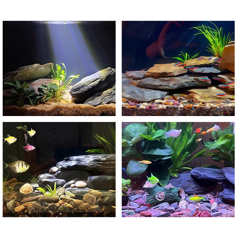 500/1000g 어항 조경석 키트 슬레이트 석재 테라 - Aquarium Fish Bowl 리뷰 및 가격