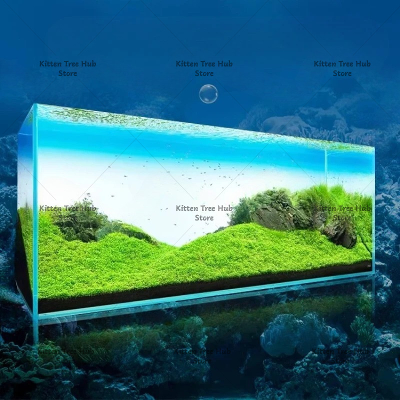 어항 배경판 LED 수족관 잔디 탱크 백색광 RGB 레 - Aquarium Fish Rainbow 리뷰 및 가격
