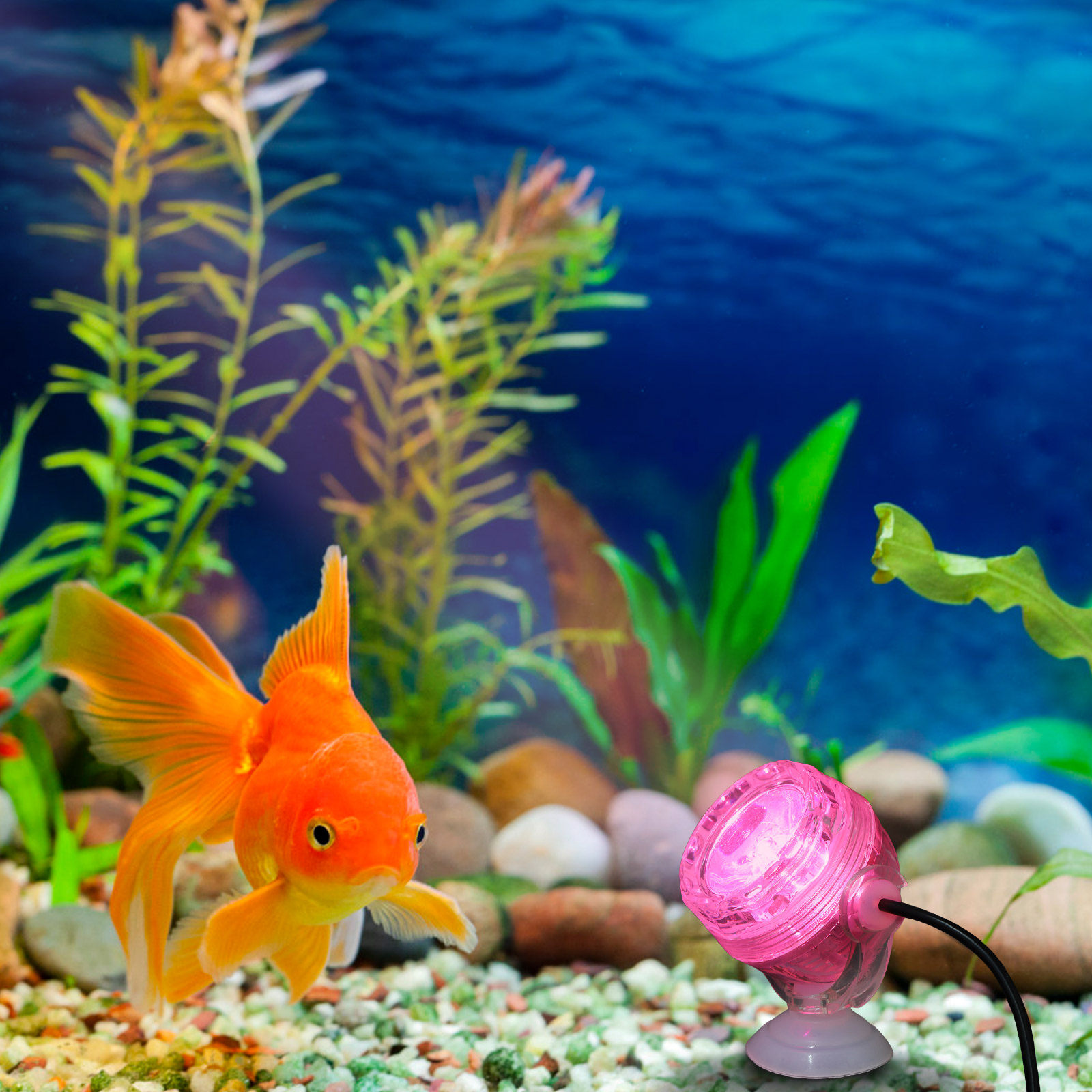 소형 LED 수족관 조명 방수 색상 변경 LED 스팟  - Aquarium Fish Rainbow 리뷰 및 가격