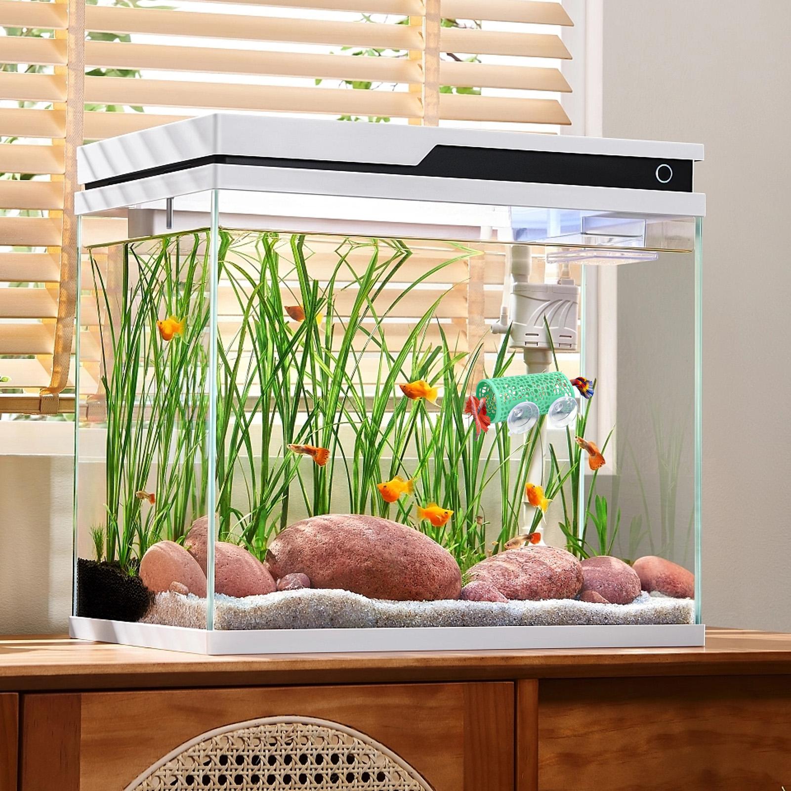 베타 생태 환경 휴식처 장식품 물고기 터널 장난감, 수 - Fish Toys For Aquarium 리뷰 및 가격