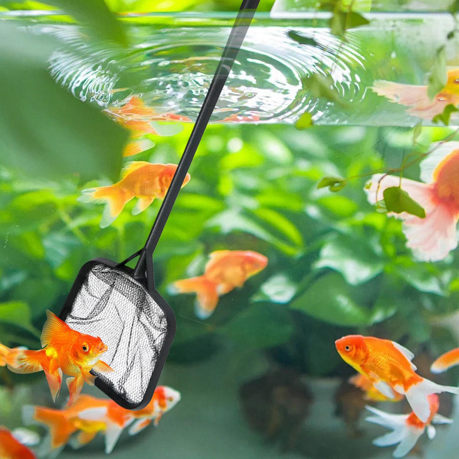 휴대용 수영장 청소용 그물망, 분수 청소용품, 수족관/ - Cleaner Fish Aquarium 리뷰 및 가격