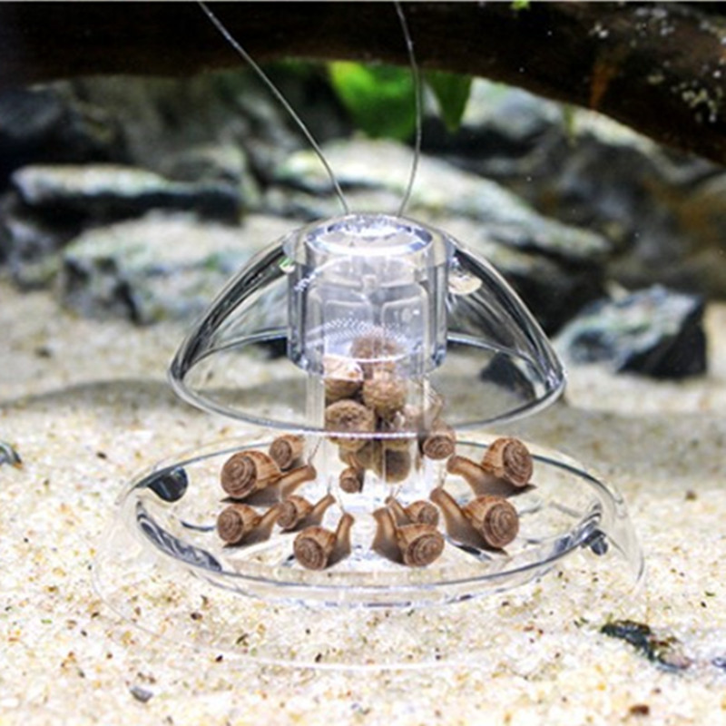 물고기 탱크 수족관 클리너, 달팽이 트랩 캐처, 식물  - Cleaner Fish Aquarium 리뷰 및 가격
