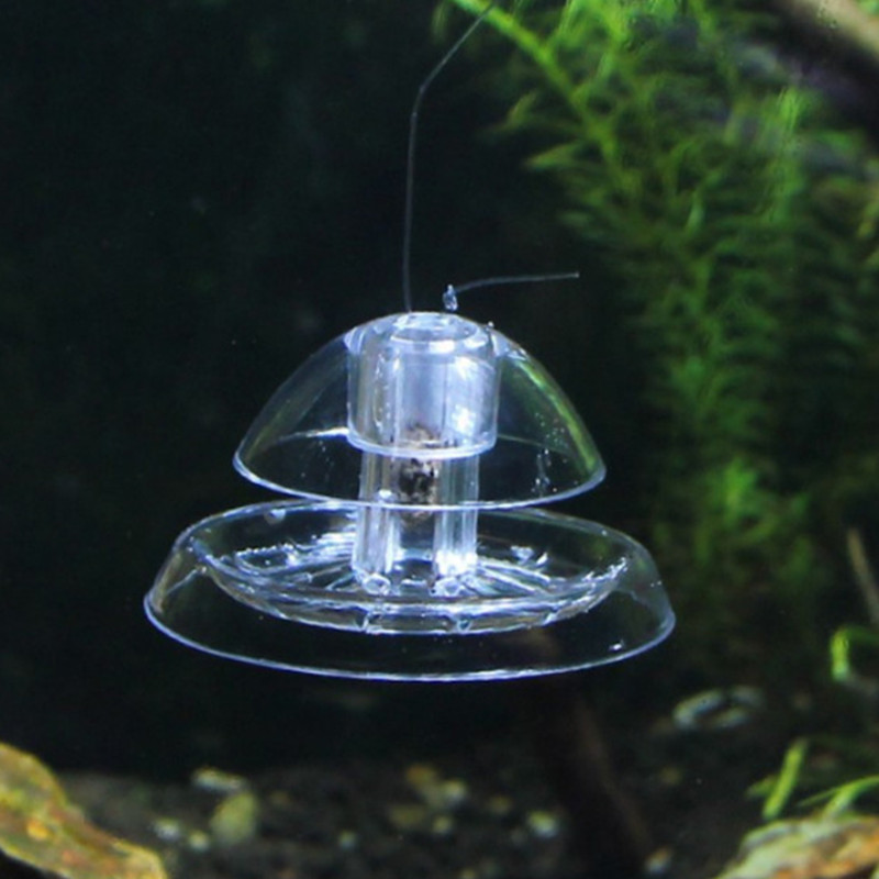 물고기 탱크 수족관 클리너, 달팽이 트랩 캐처, 식물  - Cleaner Fish Aquarium 리뷰 및 가격