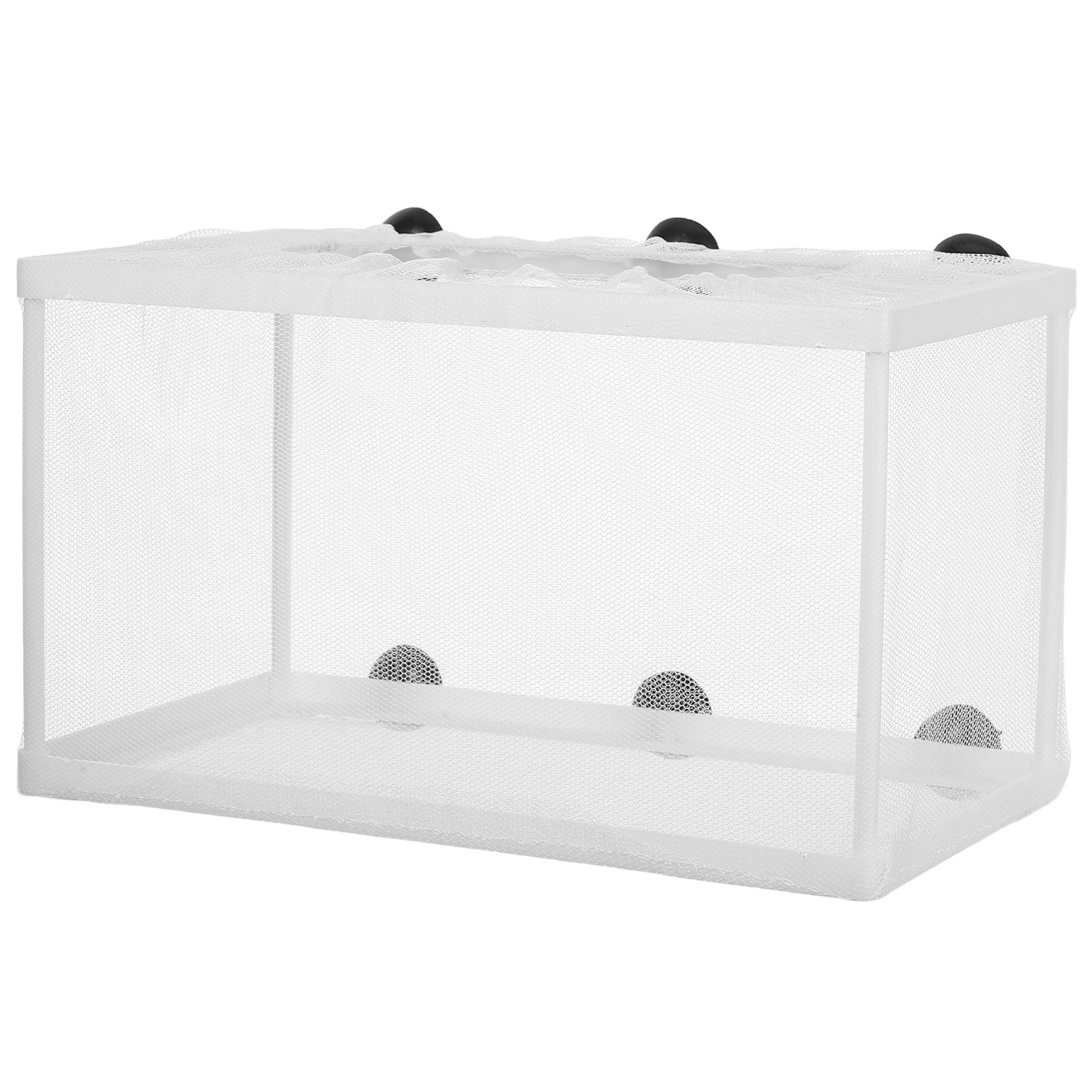 대형 폴리에스터 메쉬 어항 부화장 분리 상자 흡착컵 - - Aquarium Fish Net Big Size 리뷰 및 가격