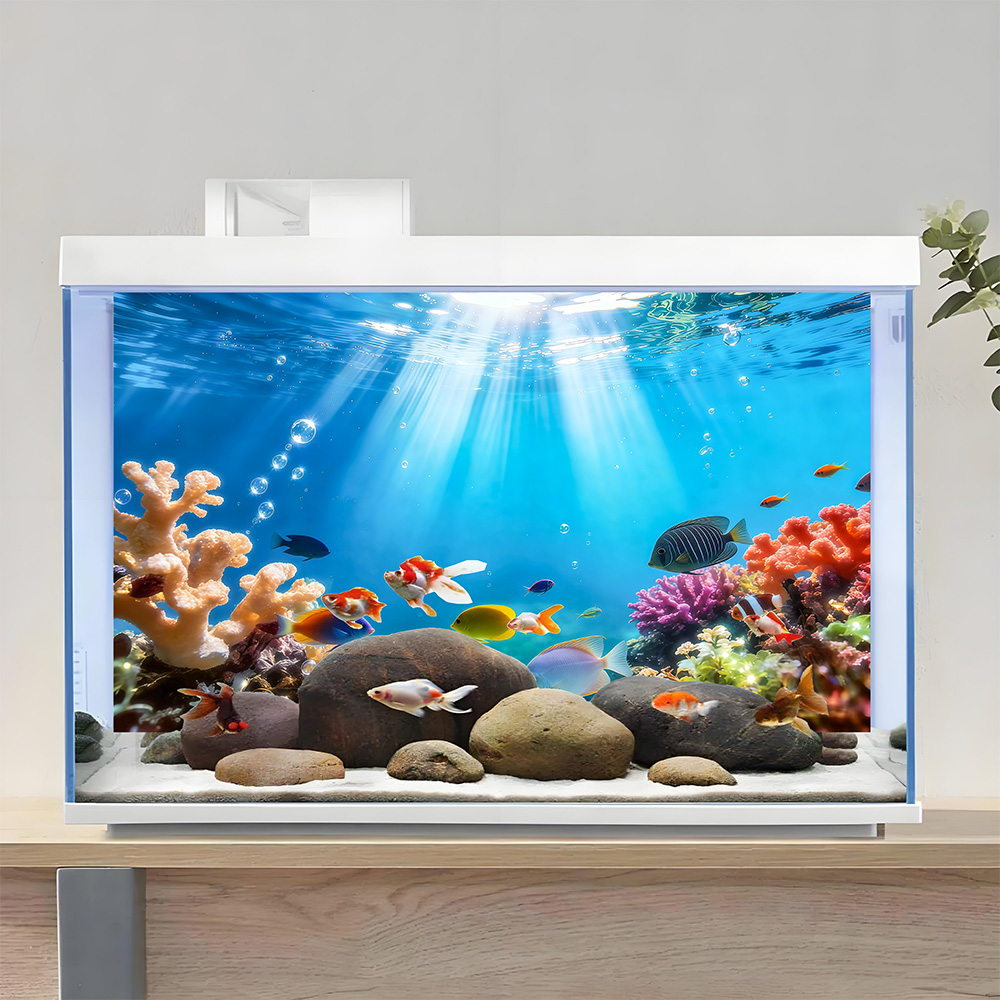 무지개색 산호, 어항 배경 그림, 수족관 스티커, 전면 - Aquarium Fish Rainbow 리뷰 및 가격