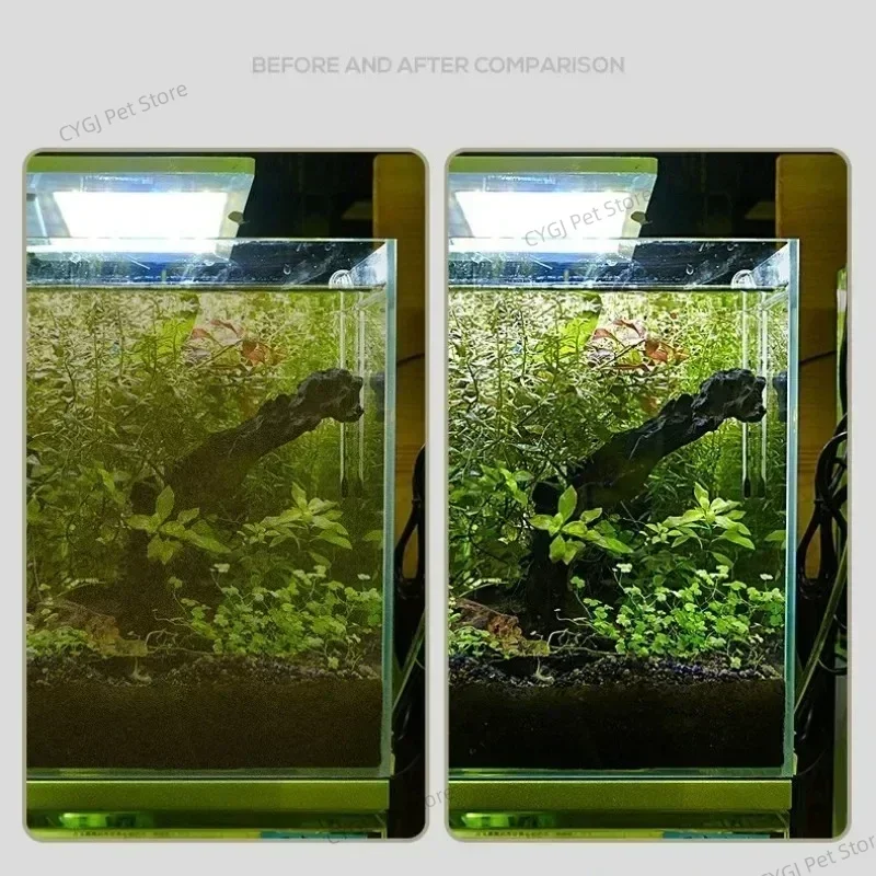 수조 청소 도구 평면 모래 조류 제거 이중 용도 유리  - Cleaner Fish Aquarium 리뷰 및 가격