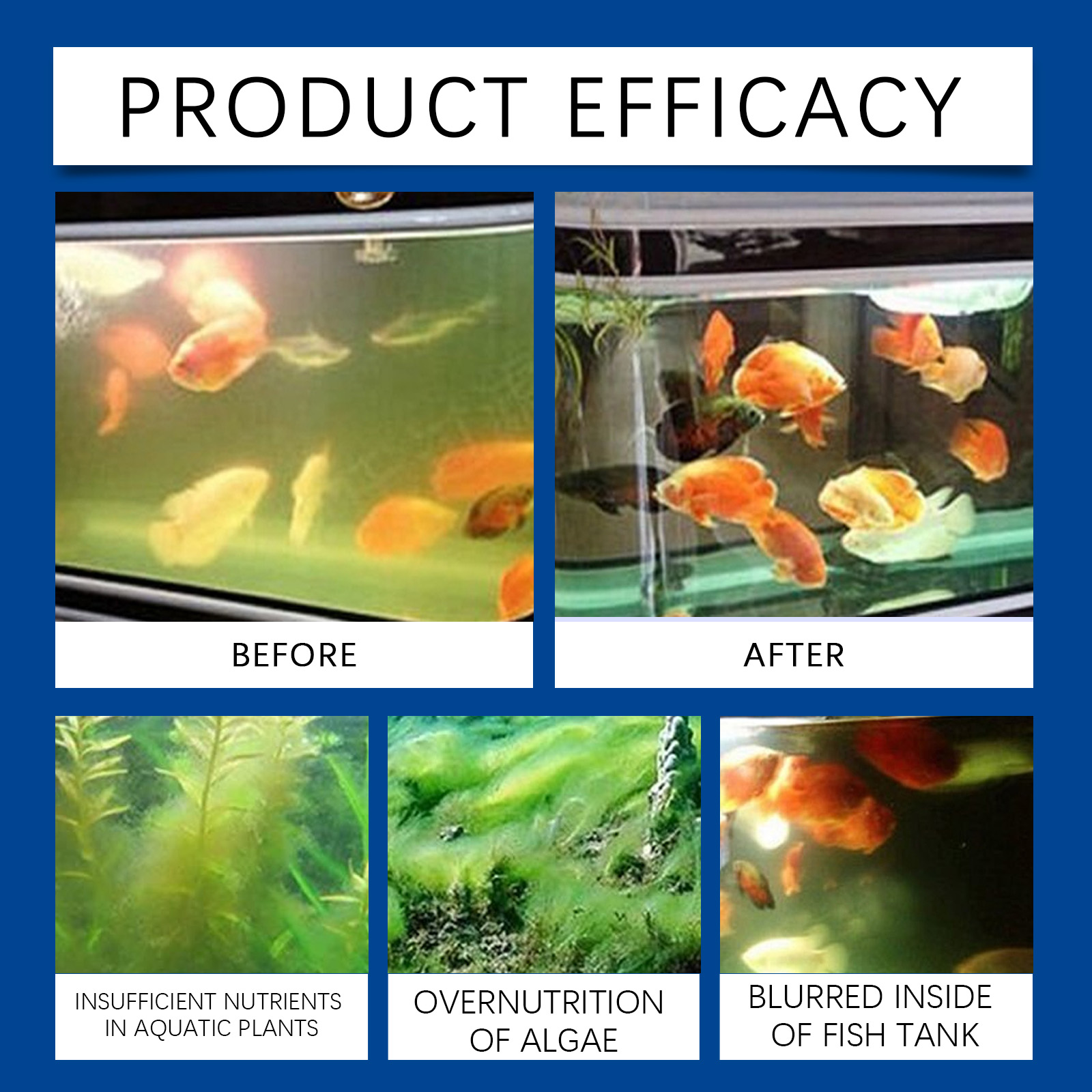 수족관 물 정화기 100ml 담수 바닷물 물고기 탱크  - Cleaner Fish Aquarium 리뷰 및 가격