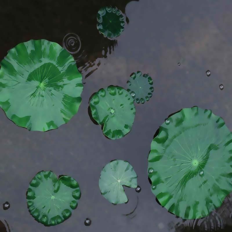 2026년 인공 수련 꽃 없는 연잎 연못 장식 수족관  - Aquarium Fish Pond 리뷰 및 가격