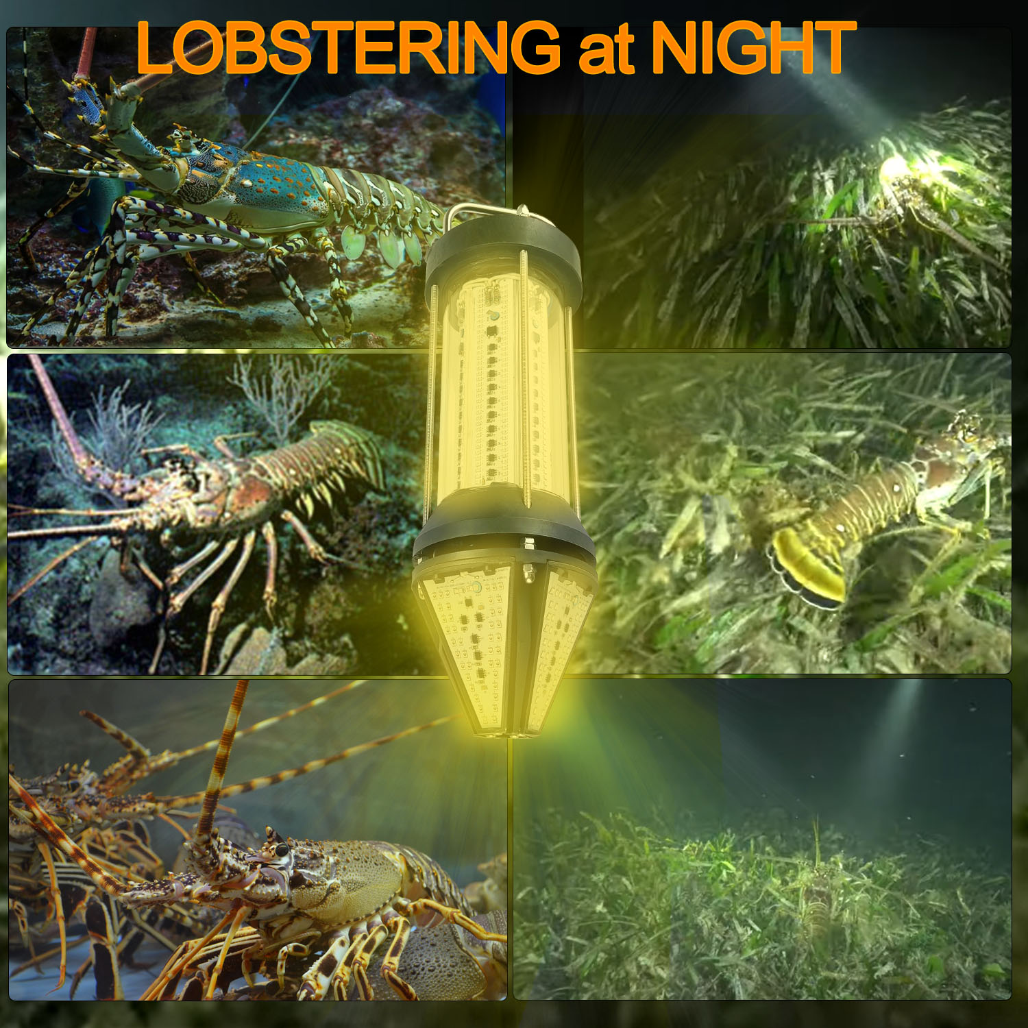 녹색 파란색 흰색 노란색 야외용 500W 800W 15 - Aquarium Fish Green 리뷰 및 가격