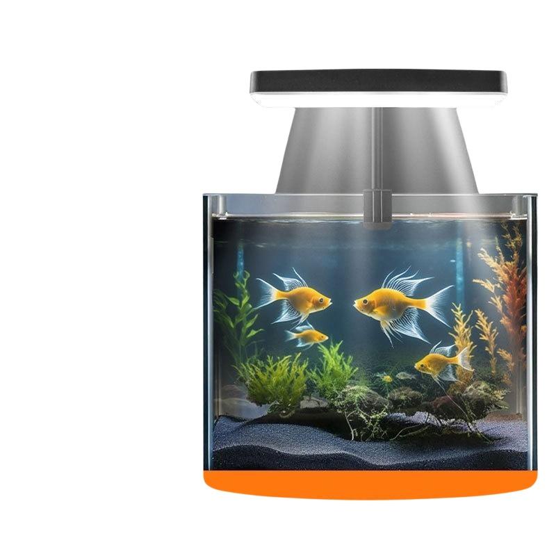 USB 수족관 클립 조명, 가정 사무실 데스크탑 어항  - Fish Aquarium Home 리뷰 및 가격