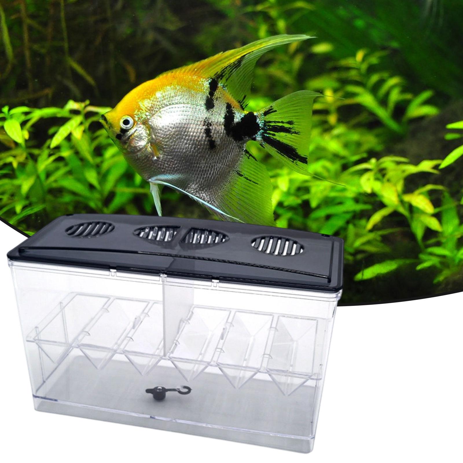 플로팅 물고기 번식 격리 상자 분리형 투명 청소가 쉬운 - Aquarium Fish Tank Cleaner 리뷰 및 가격