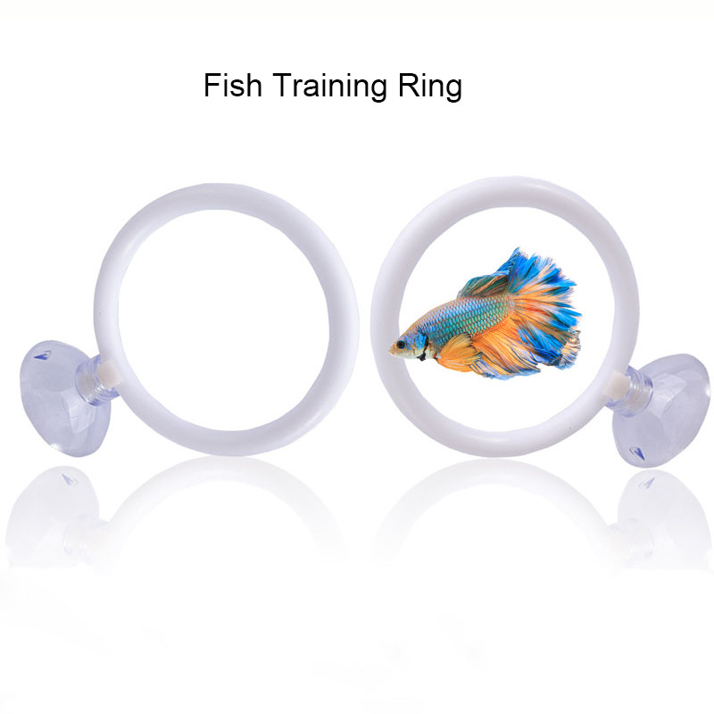 1개 플라스틱 어항 수족관 인공 훈련 링 후프 세트 ( - Fish Toys For Aquarium 리뷰 및 가격