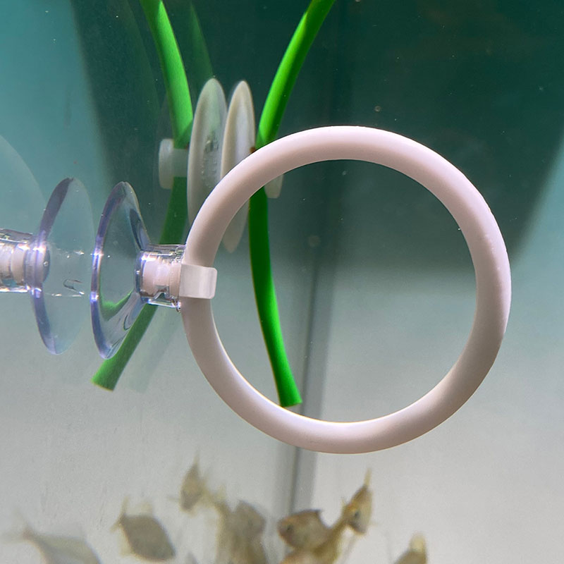 1개 플라스틱 어항 수족관 인공 훈련 링 후프 세트 ( - Fish Toys For Aquarium 리뷰 및 가격