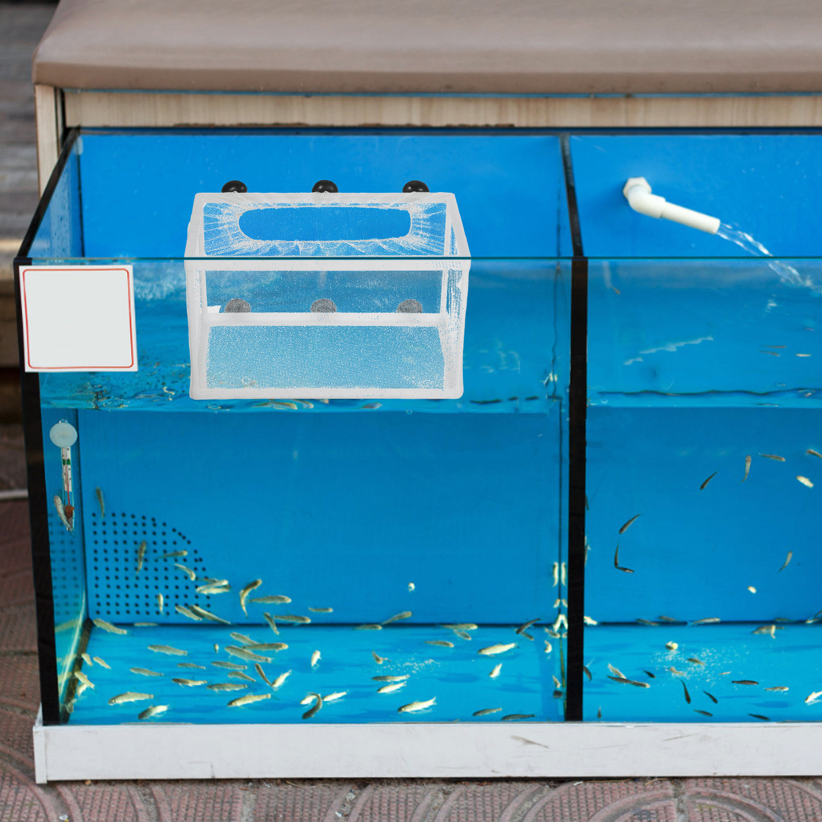 대형 어항 부화장용 폴리에스터 메쉬 분리형 박스 흡착판 - Aquarium Fish Net Big Size 리뷰 및 가격