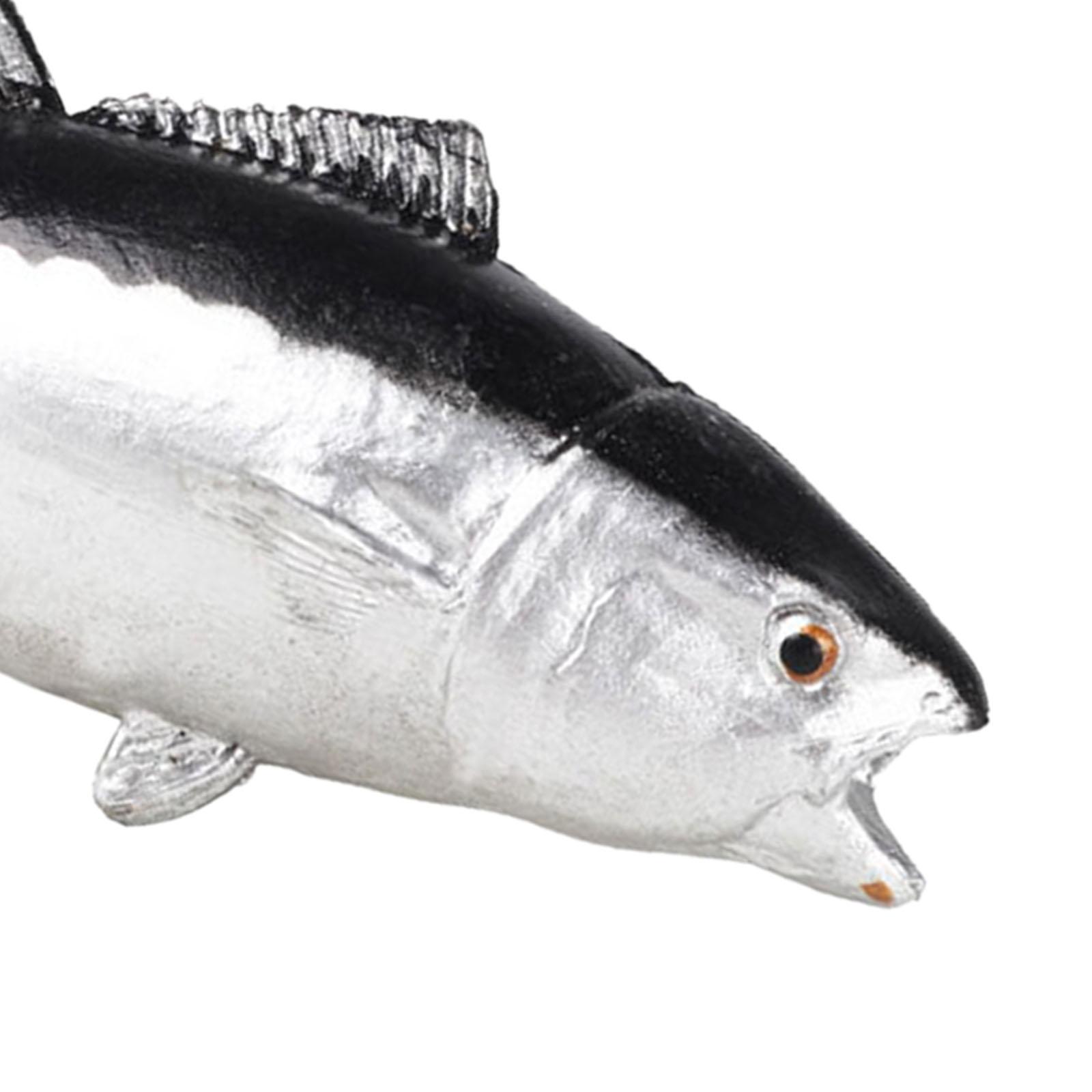 수족관 장식품 데스크탑 장식 어린이를위한 작은 교육용  - Fish Toys For Aquarium 리뷰 및 가격