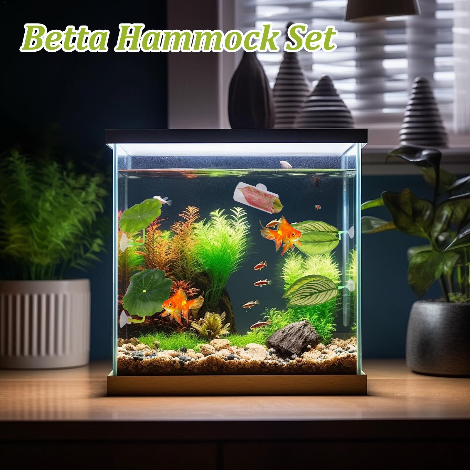 베타 물고기 해먹 5개 조절 가능한 베타 잎 해먹 물고 - Fish Toys For Aquarium 리뷰 및 가격