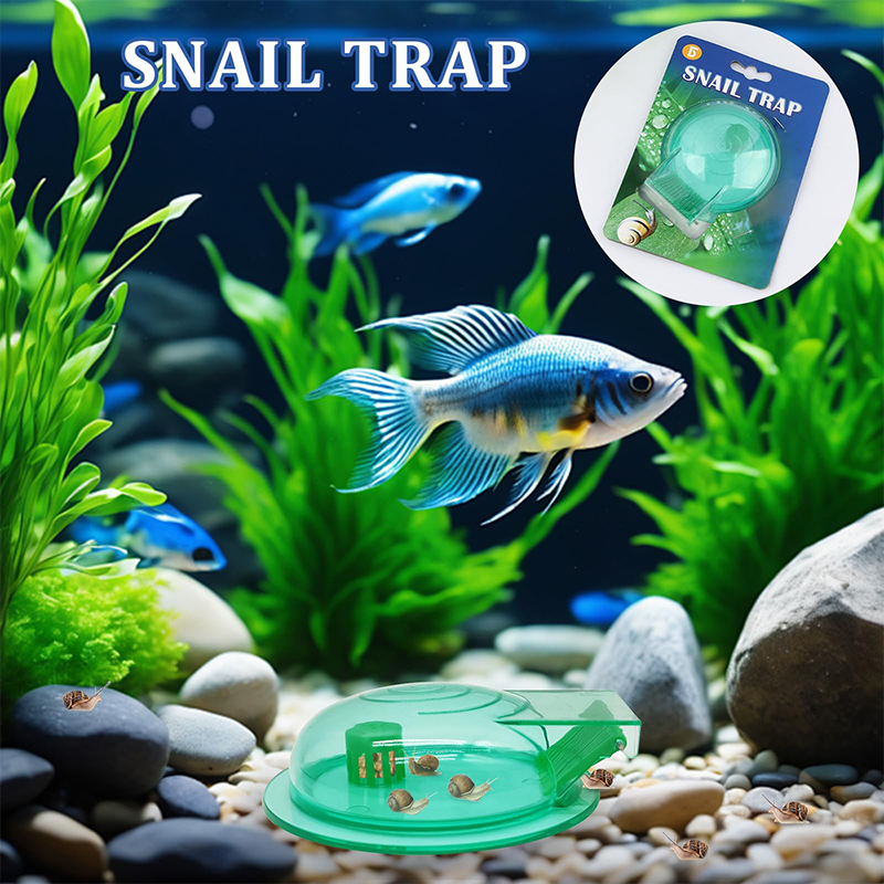 수족관 달팽이 트랩, 담수 어항용 플라스틱 달팽이 포획 - Aquarium Fish Green 리뷰 및 가격