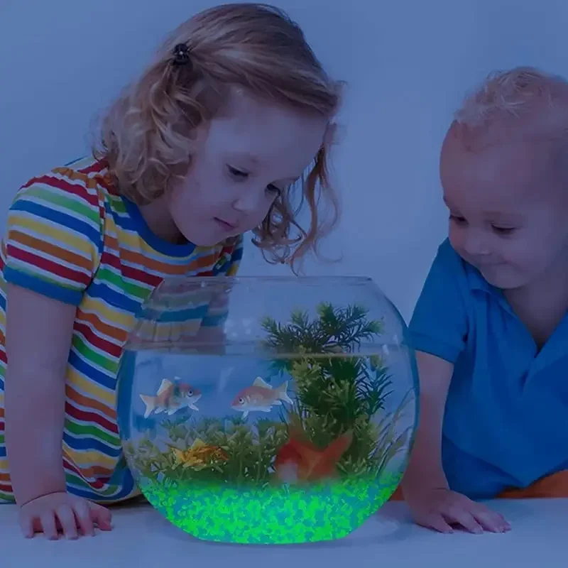 1000pcs 어두운 자갈 돌에 3-5mm 빛나는 모래 - Aquarium Fish Bowl 리뷰 및 가격