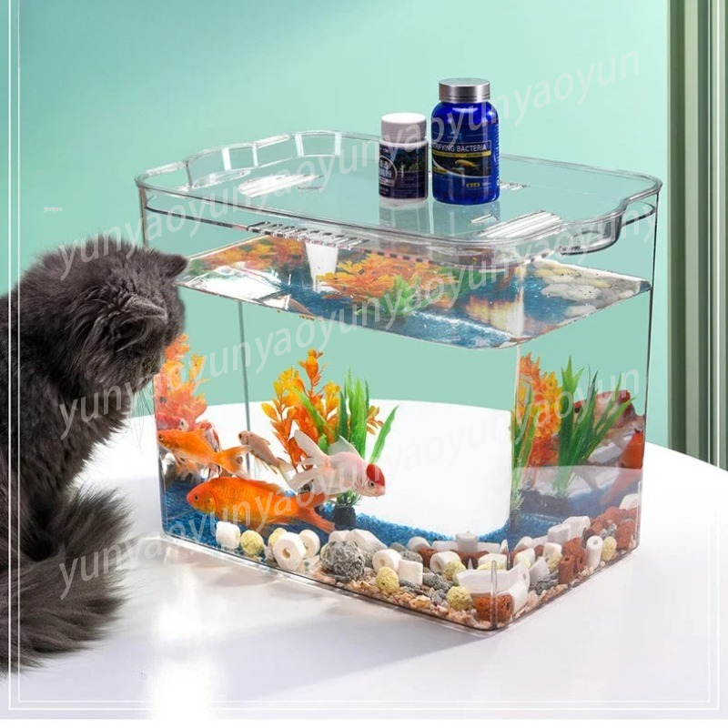 셀프 클리닝 수족관 무료 교체 독특한 투명 플라스틱 어 - Aquarium Fish Supplier 리뷰 및 가격