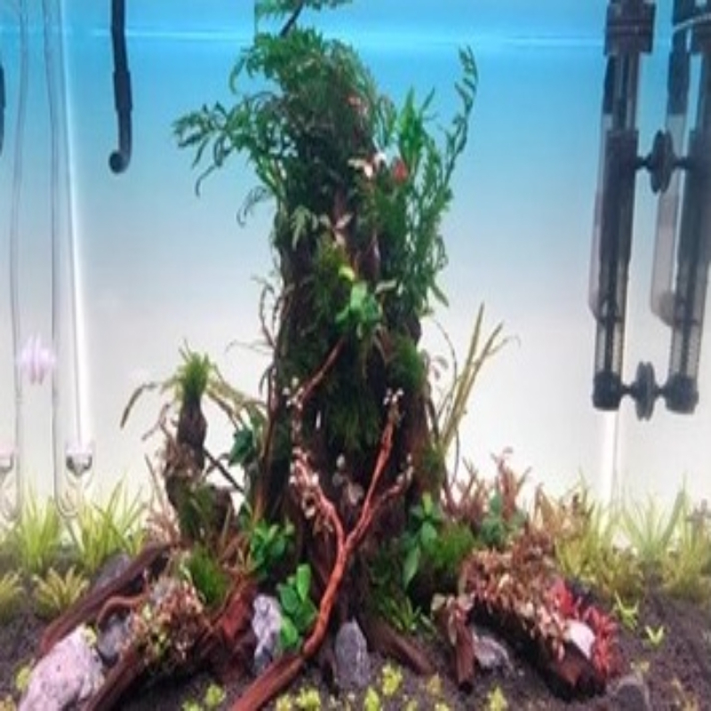 어항 배경판 LED 수족관 잔디 탱크 백색광 RGB 무 - Aquarium Fish Rainbow 리뷰 및 가격