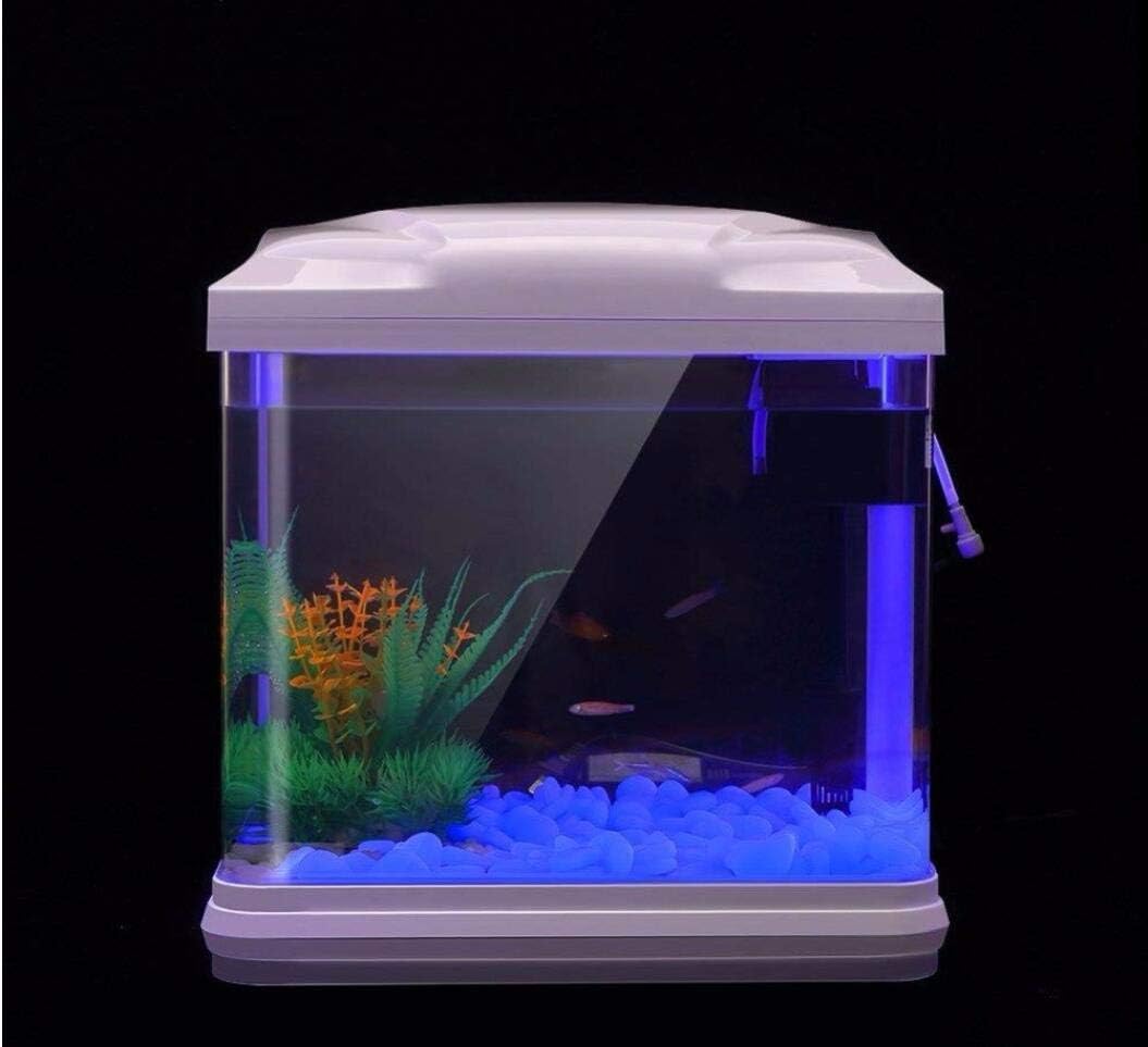 물고기 탱크 바위 정원 물고기 탱크 수족관 식물 냄비  - Aquarium Fish Bowl 리뷰 및 가격