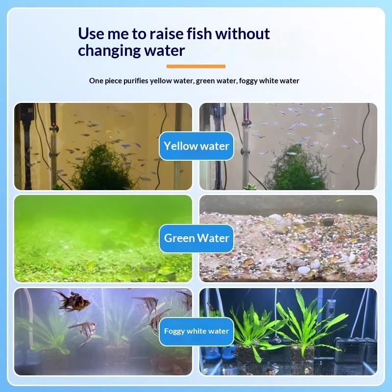 수족관 조류 제거제 타블렛, 물 얼룩 없이 빠른 조류  - Aquarium Fish Green 리뷰 및 가격