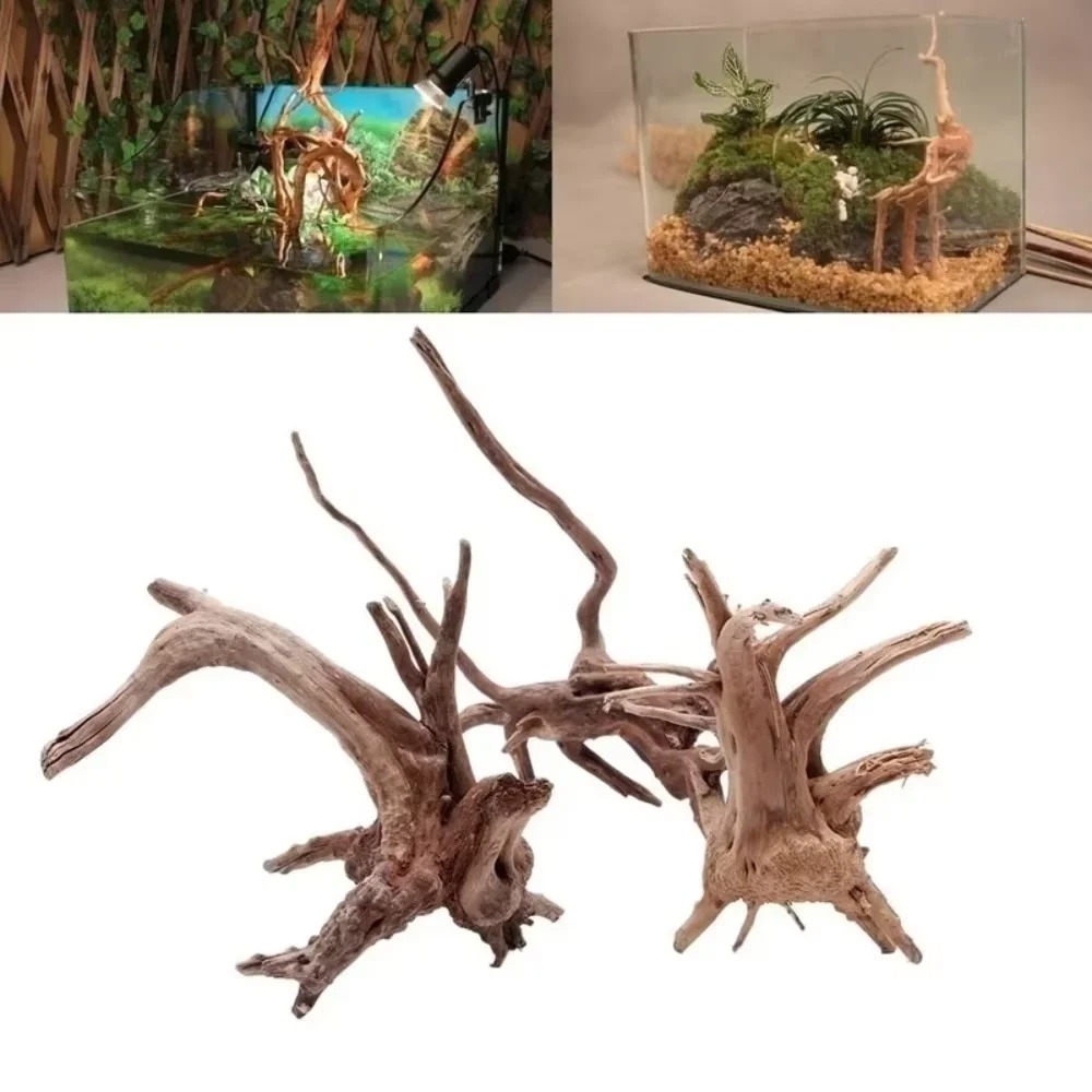 15-20CM 천연 유목 수족관 장식 - 프리미엄 나무 - Aquarium Fish Gallery 리뷰 및 가격