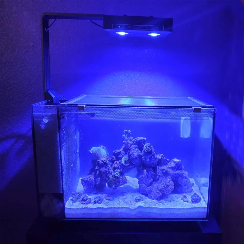 중국 공급업체 조광 가능한 95W 풀 스펙트럼 블루 L - Aquarium Fish Supplier 리뷰 및 가격