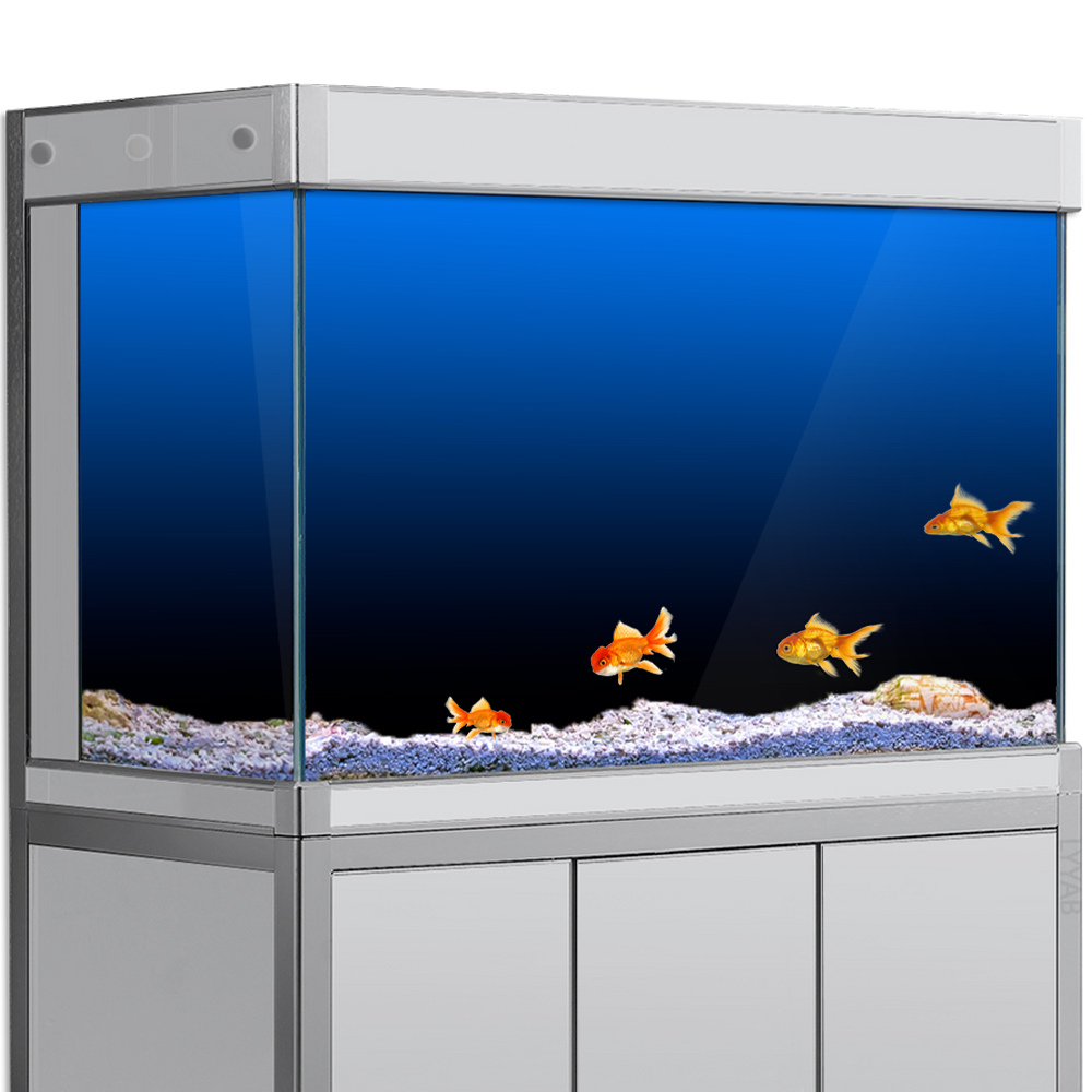 물고기 탱크 배경 스티커 검정 녹색 파란색 그라디언트  - Aquarium Fish Green 리뷰 및 가격