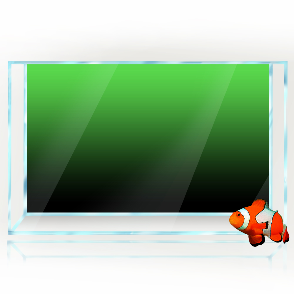 물고기 탱크 배경 스티커 검정 녹색 파란색 그라디언트  - Aquarium Fish Green 리뷰 및 가격