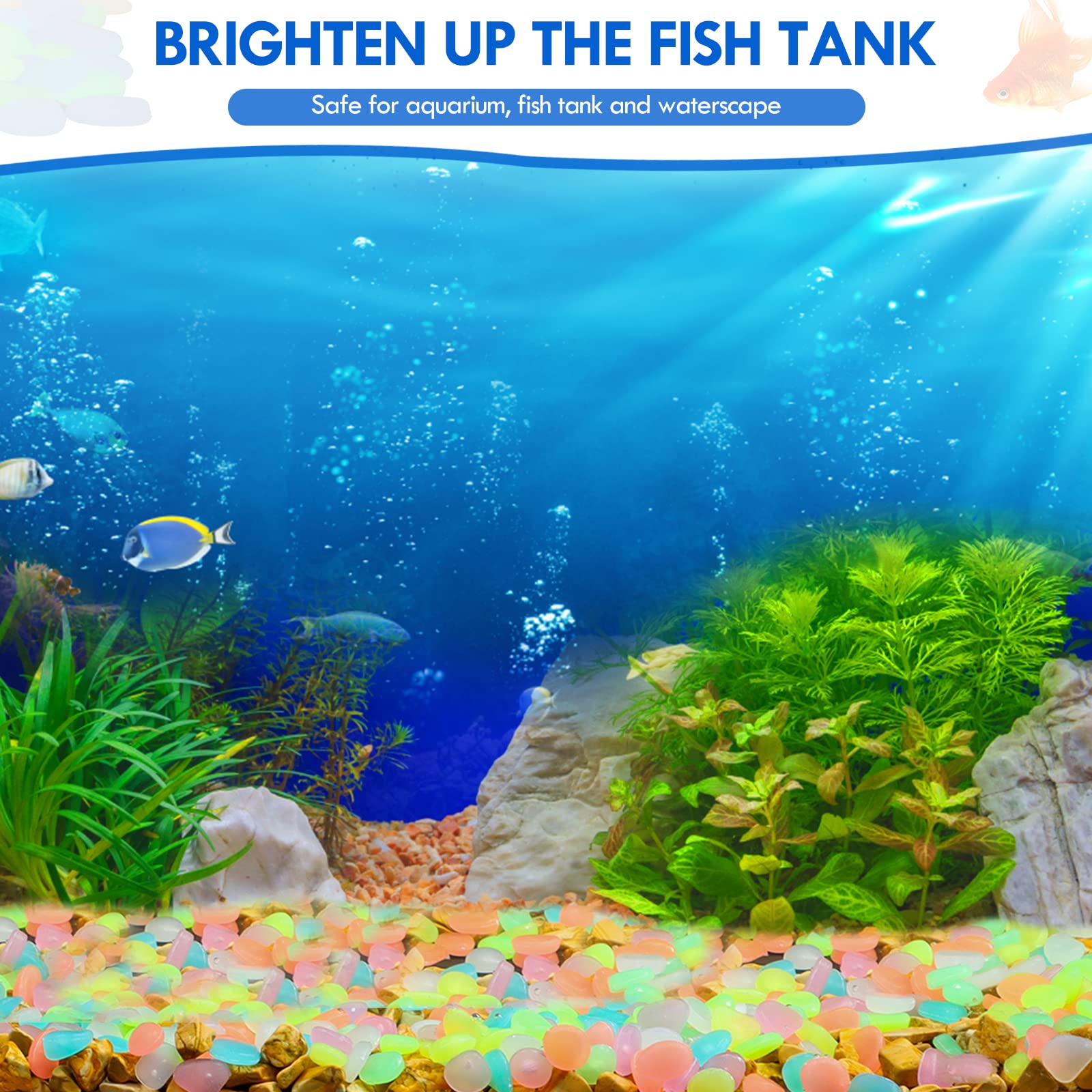 100Pcs 보도 정원 테라스 잔디 정원 파티오 물고기 - Aquarium Fish Bowl 리뷰 및 가격