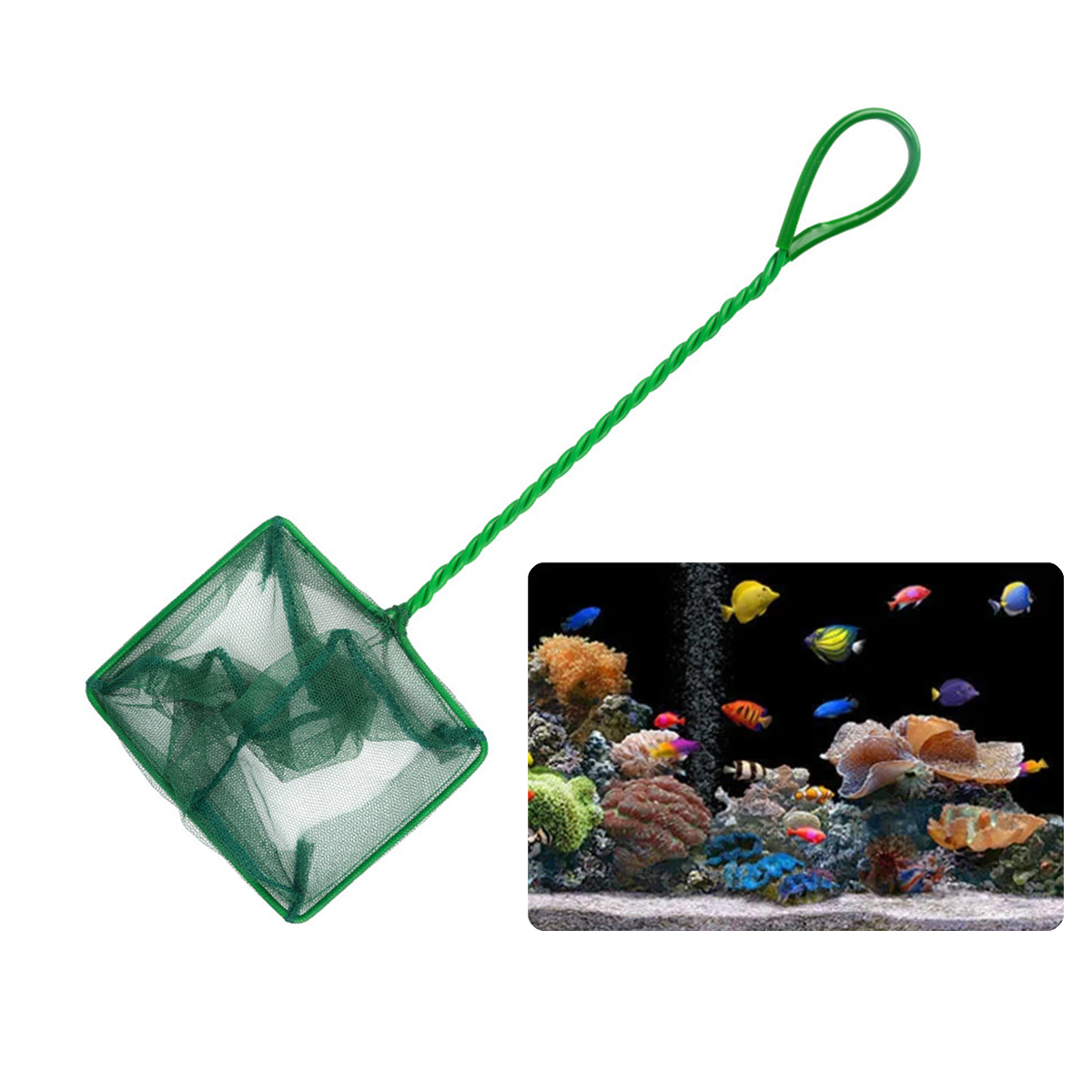 3 ~ 10 인치 휴대용 나일론 녹색 물고기 그물 수족 - Aquarium Fish Green 리뷰 및 가격