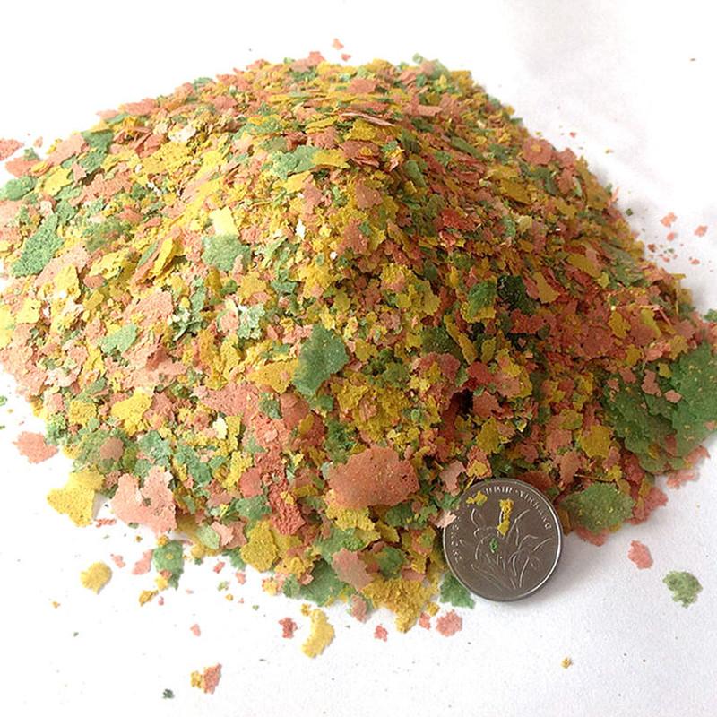 관상어 얇은 조각 음식 열대 물고기 사료 다채로운 물고 - Aquarium Fish Rainbow 리뷰 및 가격
