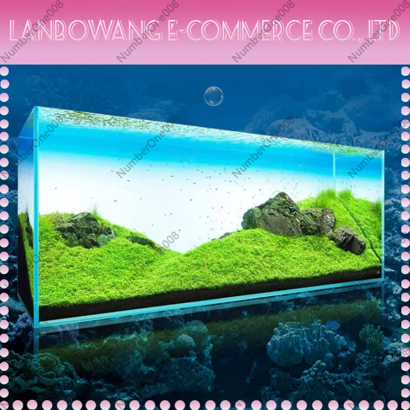 어항 배경판 LED 수족관 잔디 탱크 화이트 라이트 R - Aquarium Fish Rainbow 리뷰 및 가격
