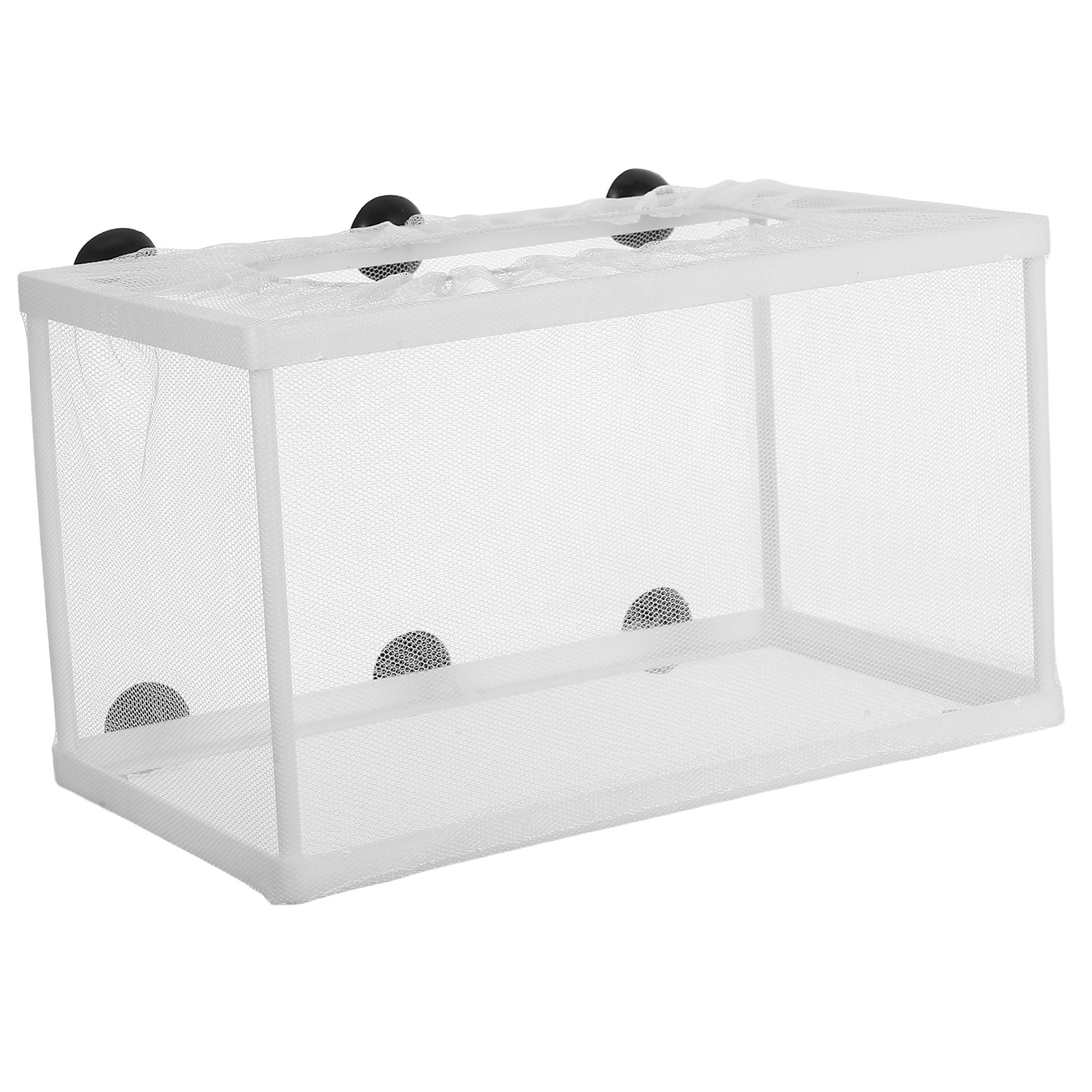 대형 어항 격리 상자, 폴리에스터 프레임 부화장, 흡착 - Aquarium Fish Net Big Size 리뷰 및 가격